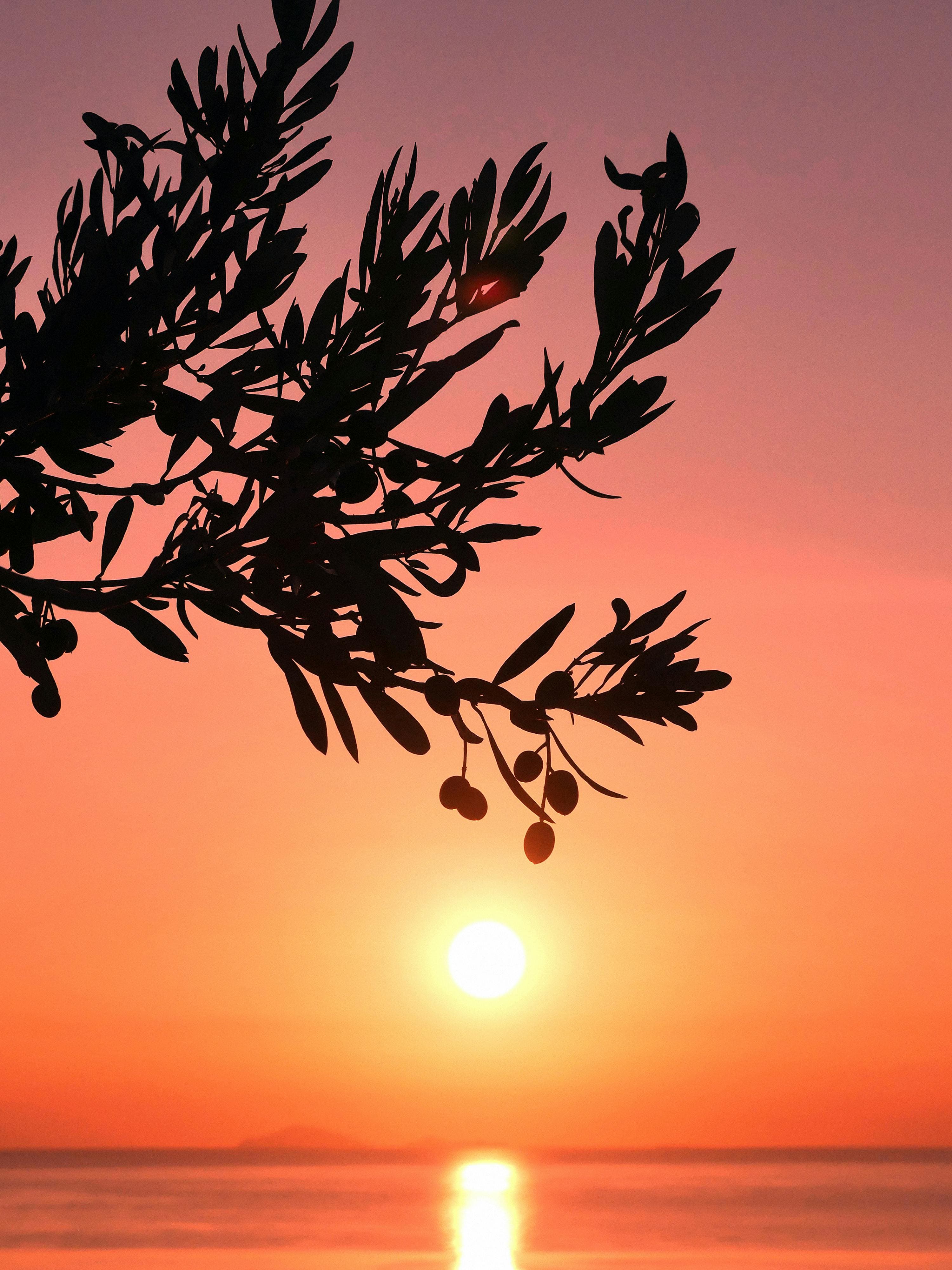 A Day on the Amalfi Coast: Recipes & Rituals